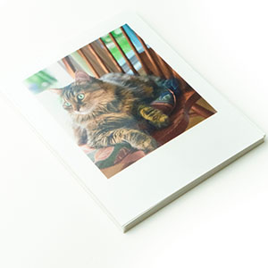 Foto Calamite in pacchetti da 8, 16 o 24